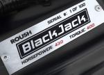 Ford Mustang BlackJack by Roush 2008 года